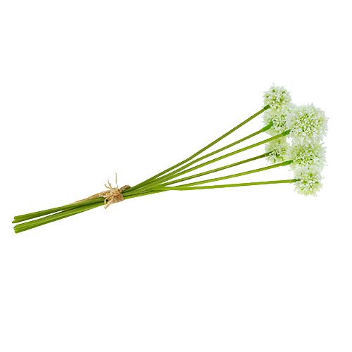 Floristik24 Allium 35 cm blanc 6 p.
