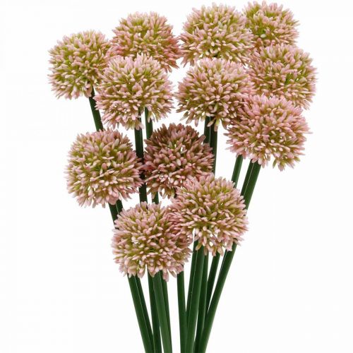 Floristik24 Fleur artificielle allium rose 38cm fleur artificielle en soie d'oignon ornemental en bouquet 12pcs