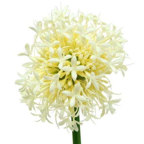 Floristik24 Ail d'ornement artificiel blanc 51 cm 4 p.