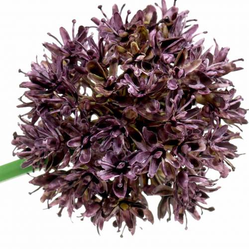 Article Allium déco artificiel Violet Ø7cm H58cm 4pcs