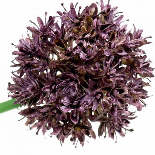 Floristik24 Allium déco artificiel Violet Ø7cm H58cm 4pcs