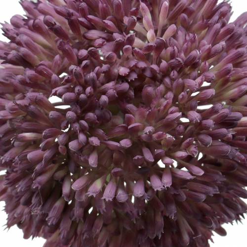 Floristik24 Allium d&#39;ornement lilas artificiel Ø12cm 65cm