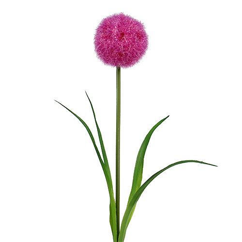 Floristik24 Allium 68cm rose-violet