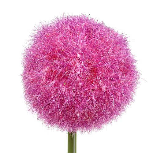 Floristik24 Allium 68cm rose-violet