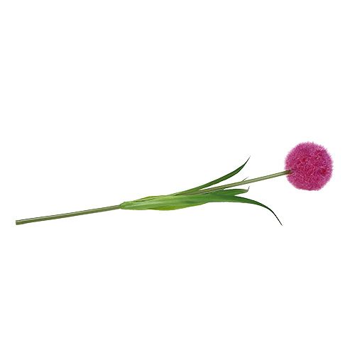 Floristik24 Allium 68cm rose-violet