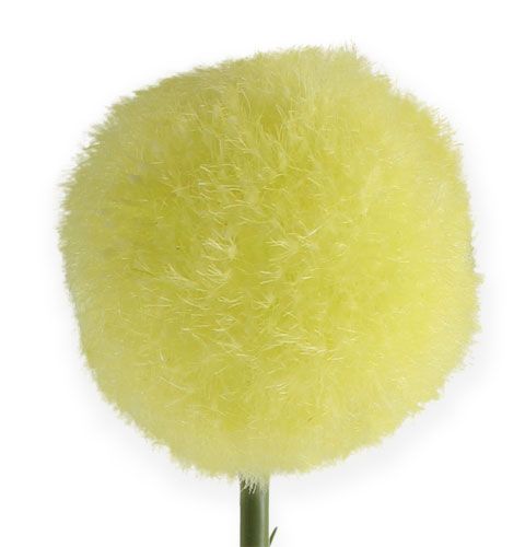 Article Allium jaune 68 cm