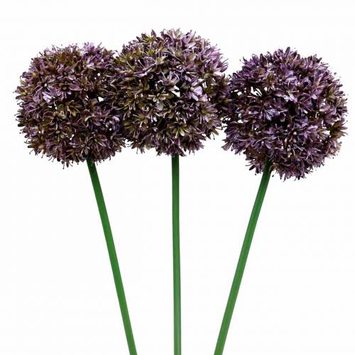 Floristik24 Allium déco artificiel Violet 70cm 3pcs