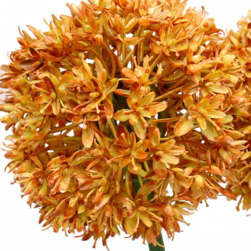 Floristik24 Oignon décoratif Allium artificiel orange 70cm 3pcs