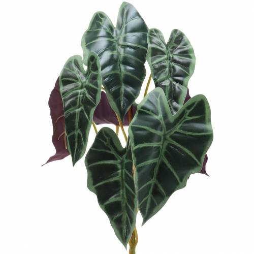 Article Alocasia flèche feuille verte, plante artificielle violette H48cm