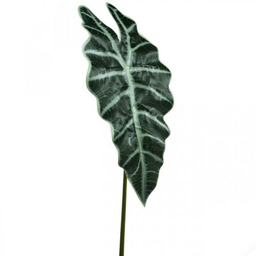 Floristik24 Flèche artificielle feuille plante artificielle alocasia déco vert 74cm