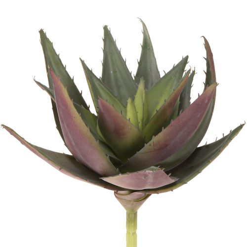 Floristik24 Plante Artificielle Aloe Vera Plantes Succulentes Artificielles Violettes Ø18cm