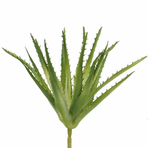 Article Aloe Vera artificiel Vert 26cm