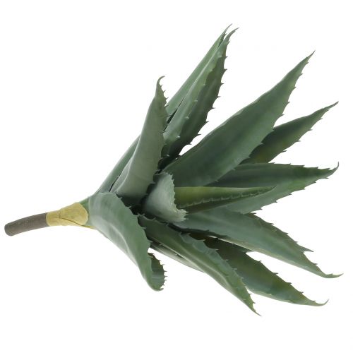 Floristik24 Branche d&#39;aloès verte artificielle 47cm