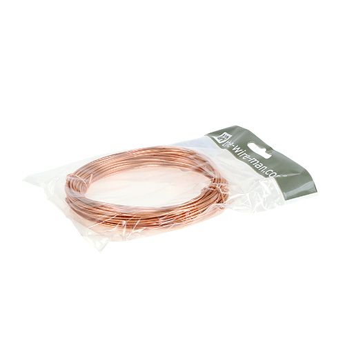 Article Fil d&#39;aluminium 2mm 100g 12m cuivre