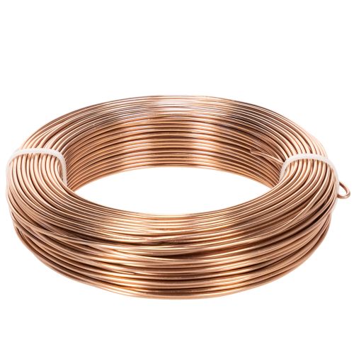Fil d'aluminium 2 mm pour art floral et loisirs créatifs, 60 m, 500 g acheter | Floristik24.be