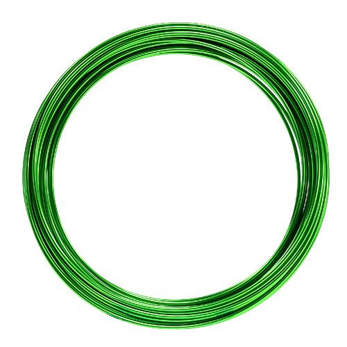 Floristik24 Fil d&#39;aluminium 2mm 100g vert pomme
