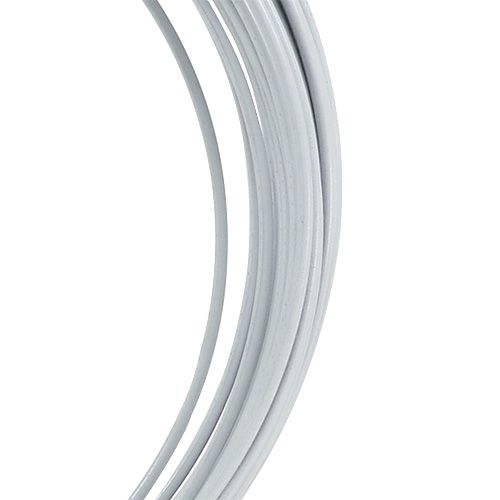 Article Fil d&#39;aluminium 2mm 100g blanc