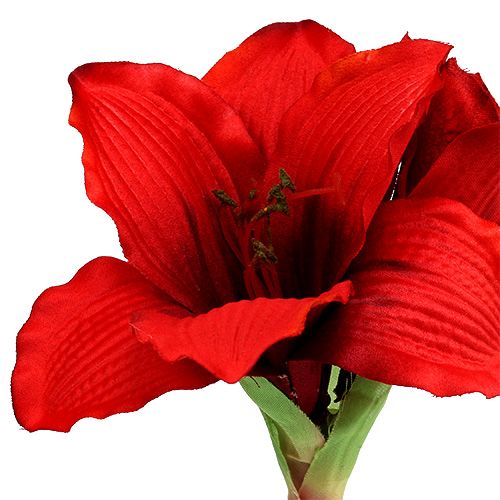 Article Amaryllis Rouge L 68cm 1pc