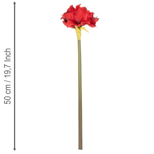 Fleur d'amaryllis rouge artificielle avec tige, décoration florale pour Noël, 50 cm | Floristik24.be