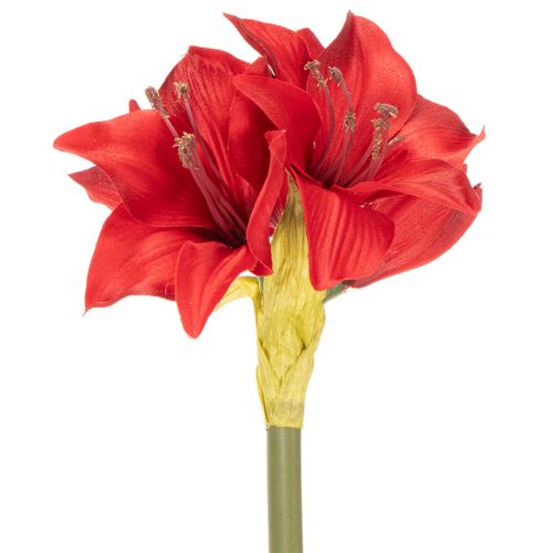 Fleur d'amaryllis rouge artificielle avec tige, décoration florale pour Noël, 50 cm | Floristik24.be
