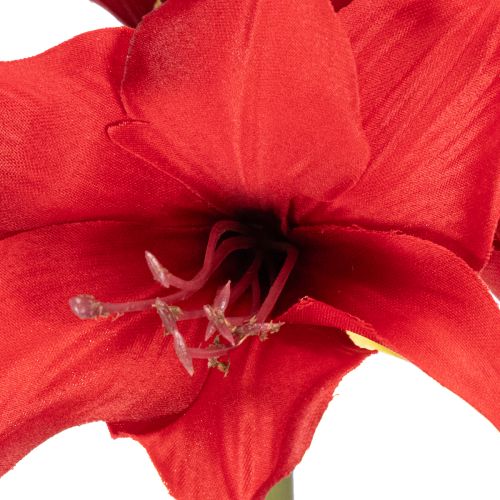 Fleur d'amaryllis rouge artificielle avec tige, décoration florale pour Noël, 50 cm | Floristik24.be