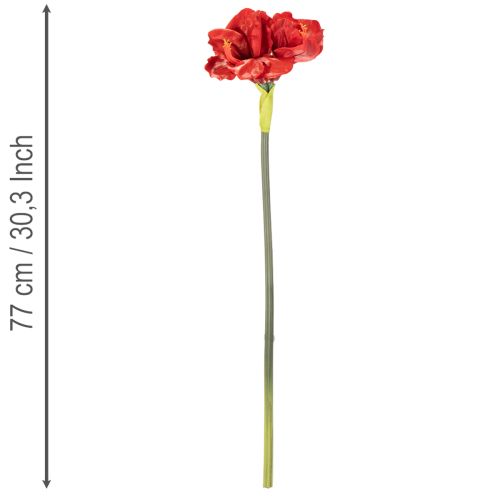 Amaryllis artificielle rouge à longue tige, pour vase et composition florale, 77 cm | Floristik24.be