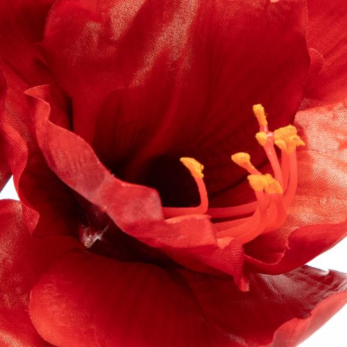 Amaryllis artificielle rouge à longue tige, pour vase et composition florale, 77 cm | Floristik24.be