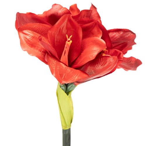 Amaryllis artificielle rouge à longue tige, pour vase et composition florale, 77 cm | Floristik24.be