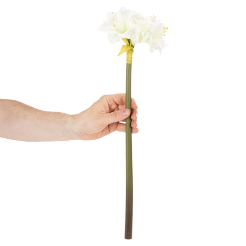Amaryllis artificielle blanche avec tige, Avent et Noël, 50 cm | Floristik24.be