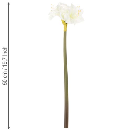 Amaryllis artificielle blanche avec tige, Avent et Noël, 50 cm | Floristik24.be