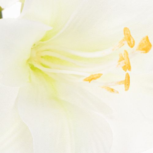 Amaryllis artificielle blanche avec tige, Avent et Noël, 50 cm | Floristik24.be
