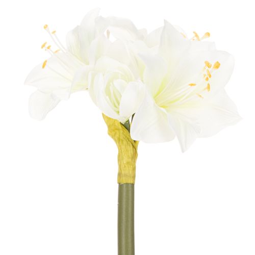 Amaryllis artificielle blanche avec tige, Avent et Noël, 50 cm | Floristik24.be