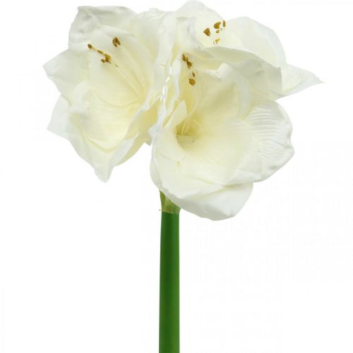 Floristik24 Fleur artificielle amaryllis chevalier blanc étoile décoration de Noël H40cm