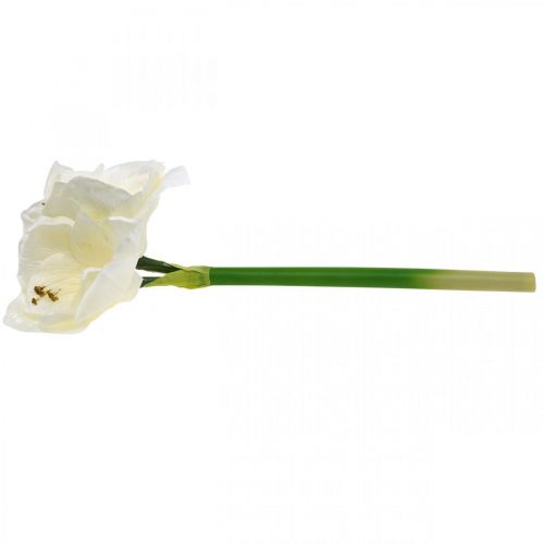 Floristik24 Fleur artificielle amaryllis chevalier blanc étoile décoration de Noël H40cm