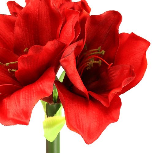 Article Amaryllis artificielle 60cm rouge