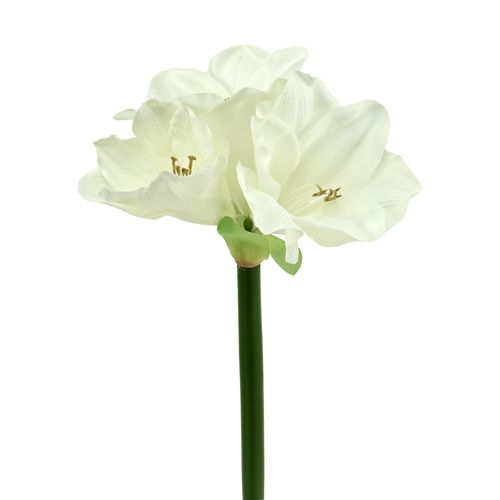 Floristik24 Amaryllis artificiel 60cm blanc