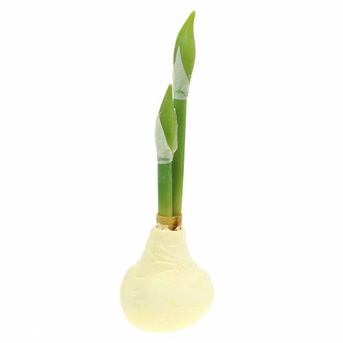 Floristik24 Tubercule d&#39;amaryllis avec bourgeons Artificiel blanc H30cm