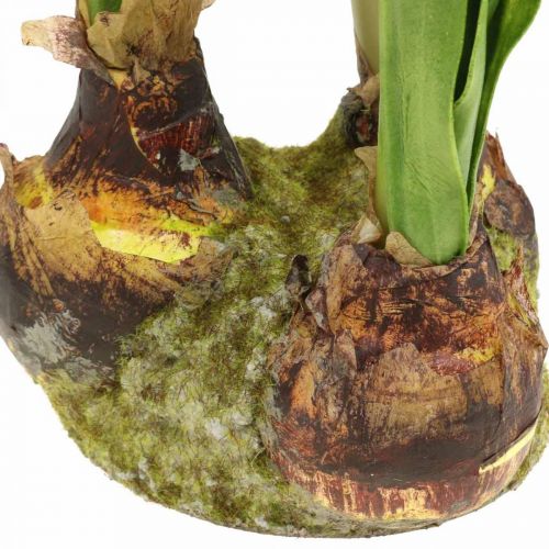 Amaryllis artificielle rouge 3 fleurs en soie sur boules de mousse H64cm