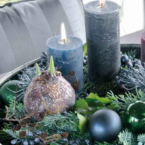 Floristik24 Ampoule Amaryllis à paillettes marron artificiel H19cm