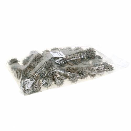 Article Cônes de liquidambar nature lavé blanc 250g