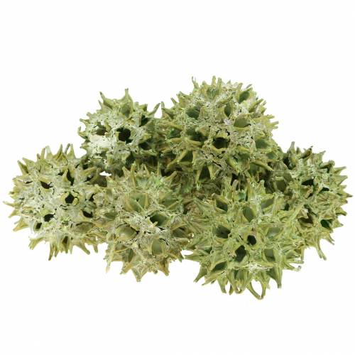 Article Cornets de gomme douce vert givré 250g