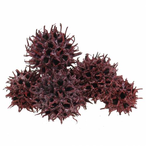 Article Cônes de liquidambar rouges givrés 250g