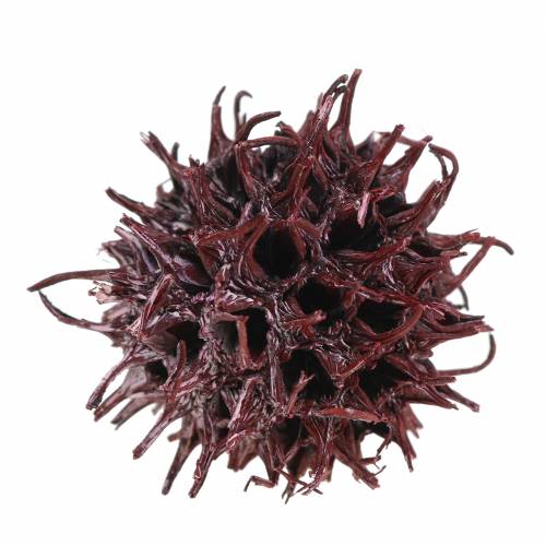 Article Cônes de liquidambar rouges givrés 250g