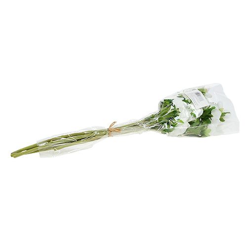 Floristik24 Anémone artificielle blanche 6pcs