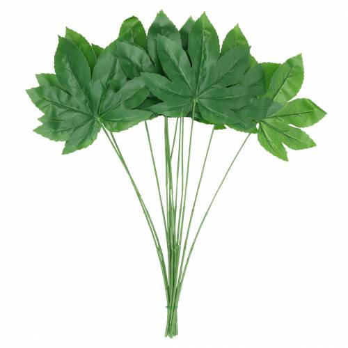 Floristik24 Feuille d&#39;Aralia avec tige verte L61.5cm 12pcs