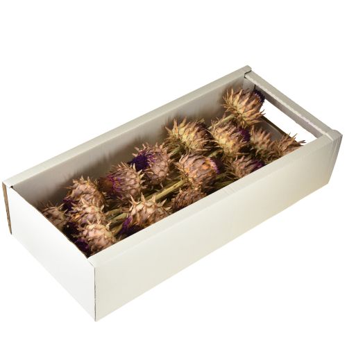 Article Artichaut séché en fleur Cynara Ø9cm 16 pcs