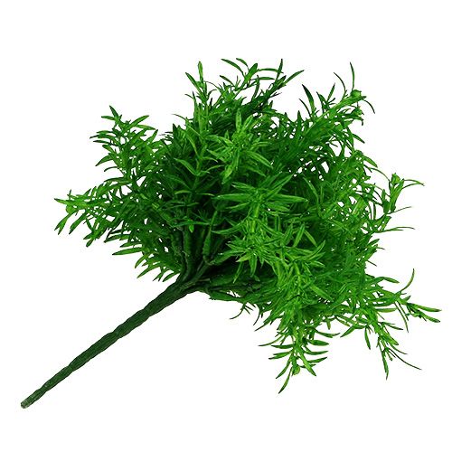 Floristik24 Brousse d&#39;asperges vert 25cm