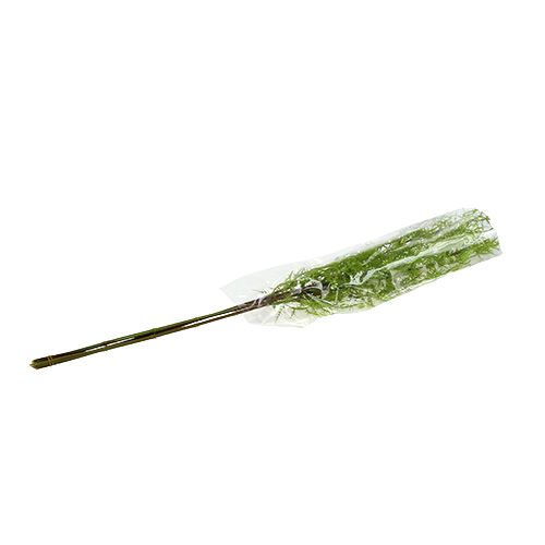 Floristik24 Branche d&#39;asperge 75cm vert 3pcs