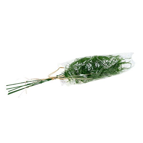 Floristik24 Branche d&#39;asperges 50cm vert 5pcs