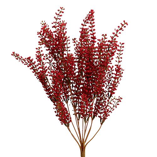 Floristik24 Astilben buisson rouge 52cm